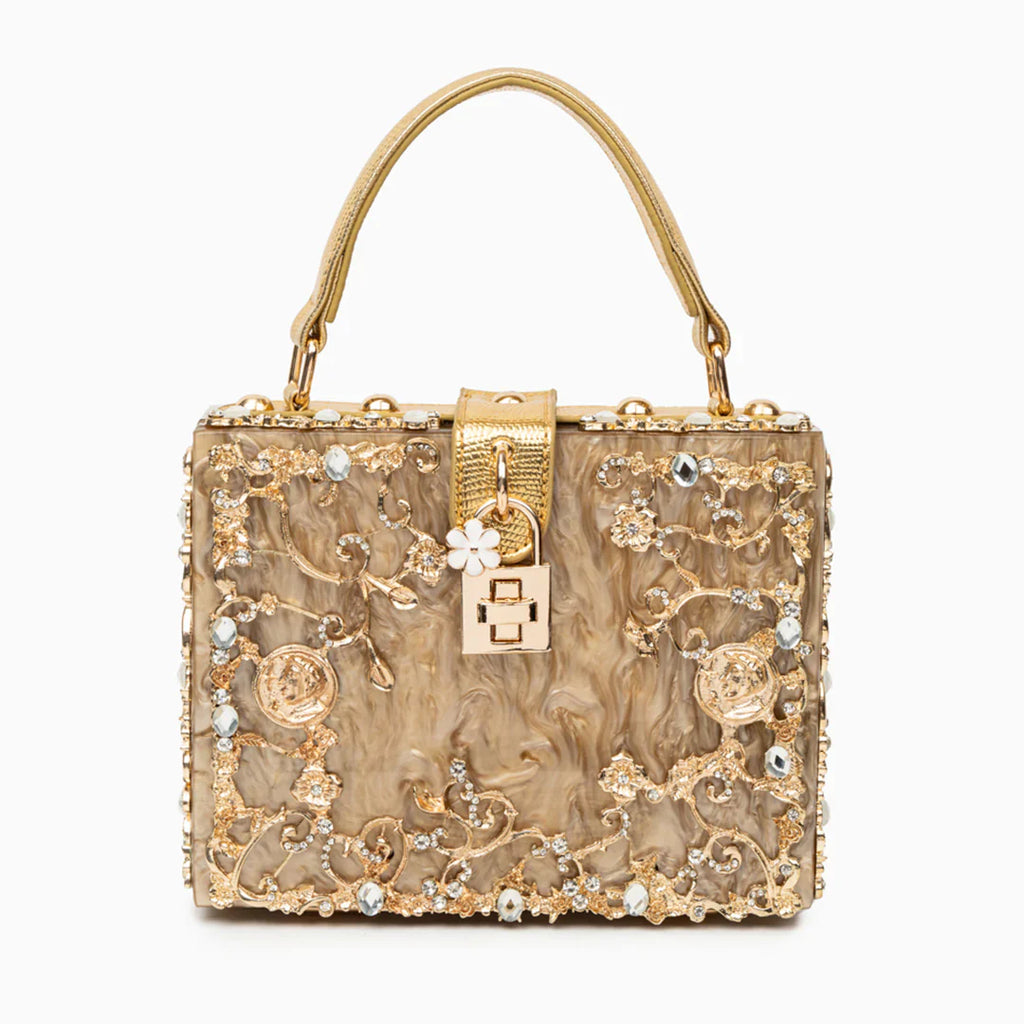 Vioraia Acrylic Box Handbag