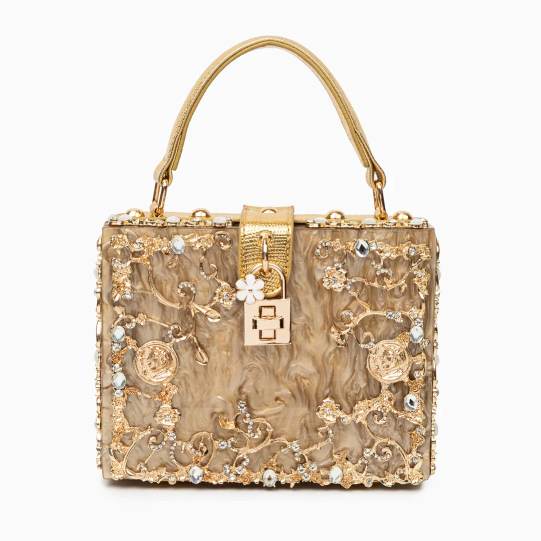 Vioraia Acrylic Box Handbag