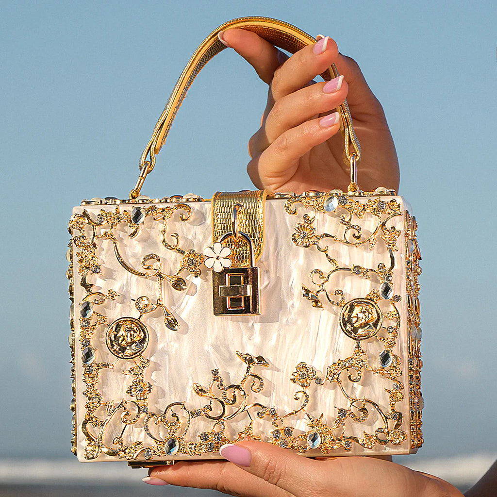 Vioraia Acrylic Box Handbag