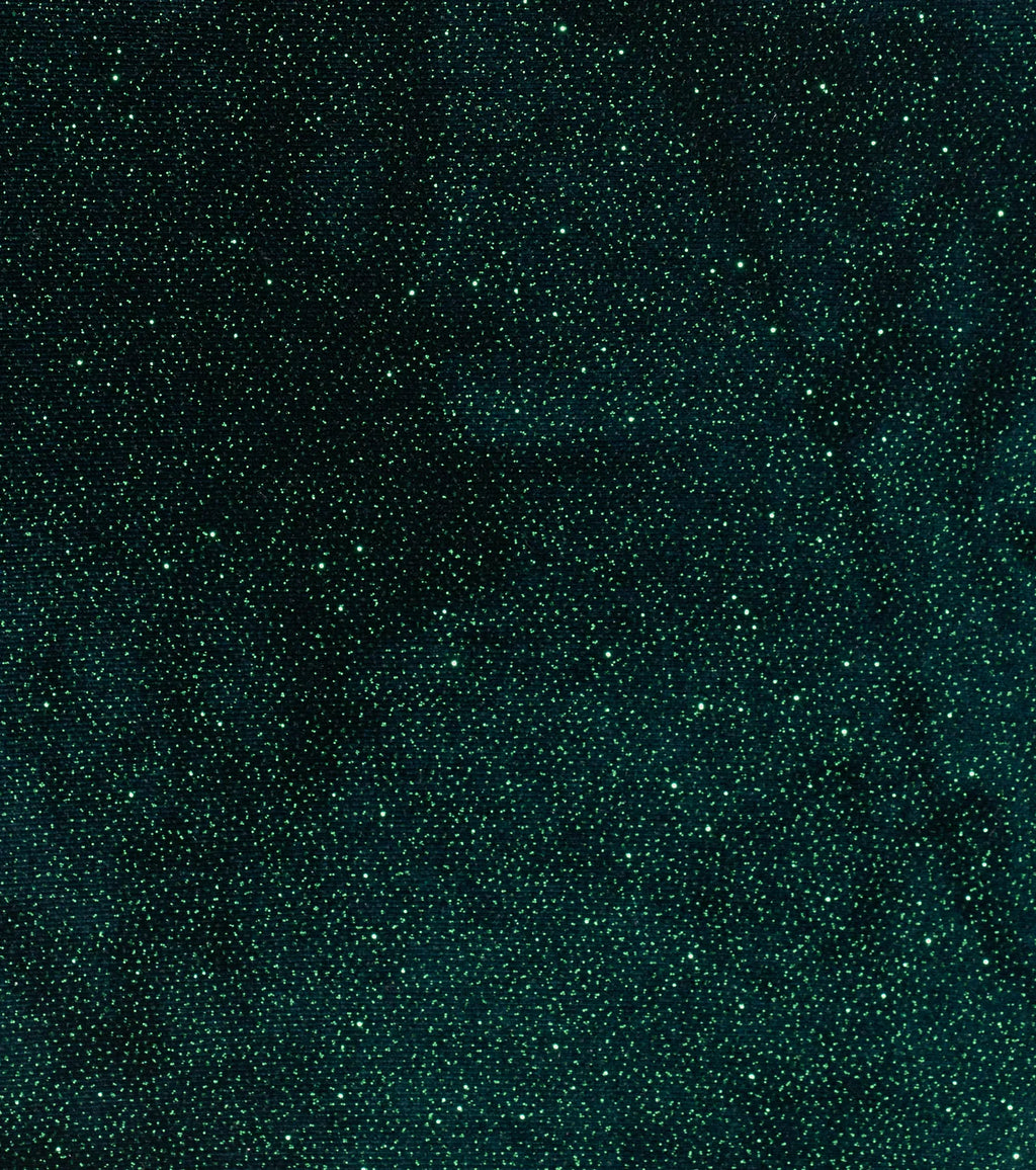 Midnight Sparkle Velvet Glitter Mini Dress