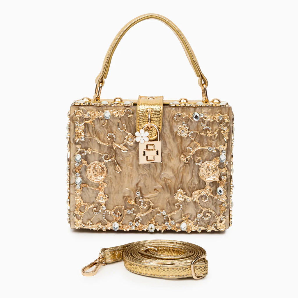 Vioraia Acrylic Box Handbag