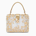 Vioraia Acrylic Box Handbag