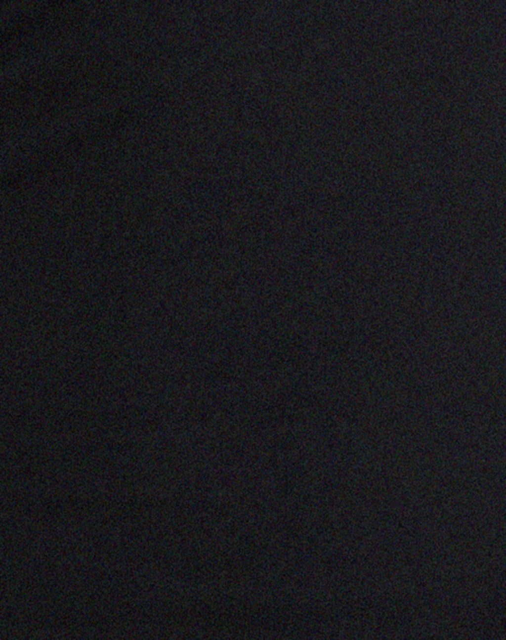Brada Bodycon Mini Dress in Black