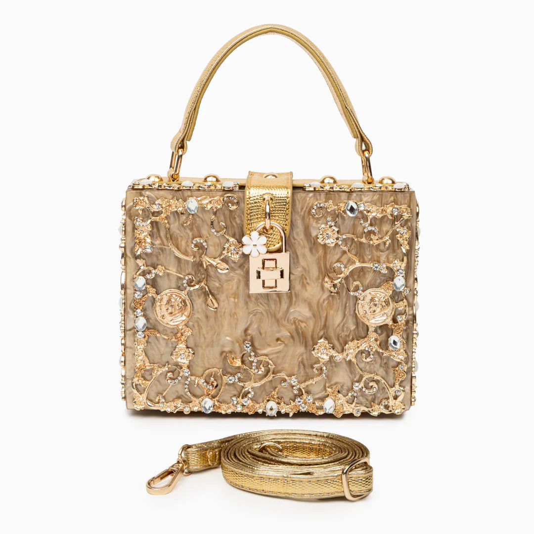 Vioraia (CS) Acrylic Box Handbag