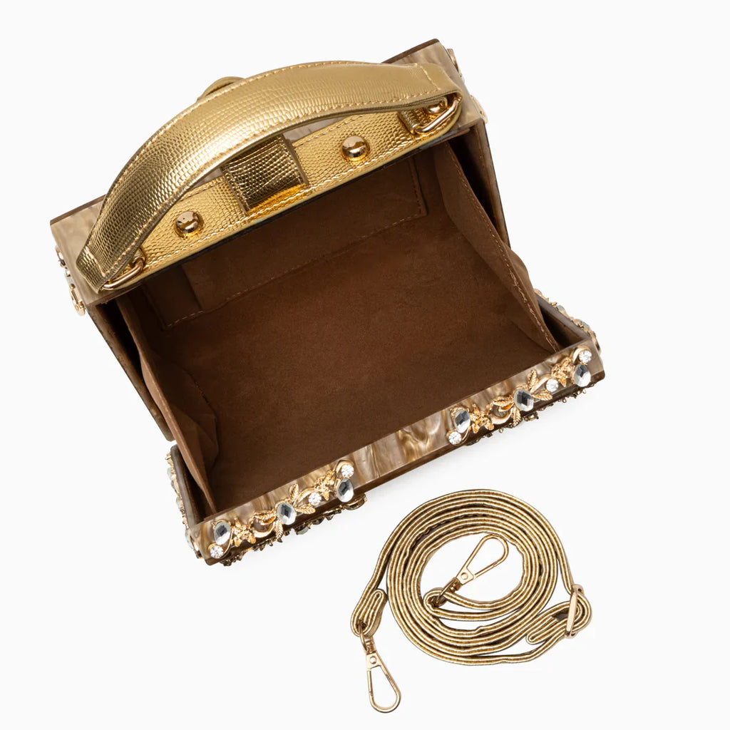 Vioraia Acrylic Box Handbag