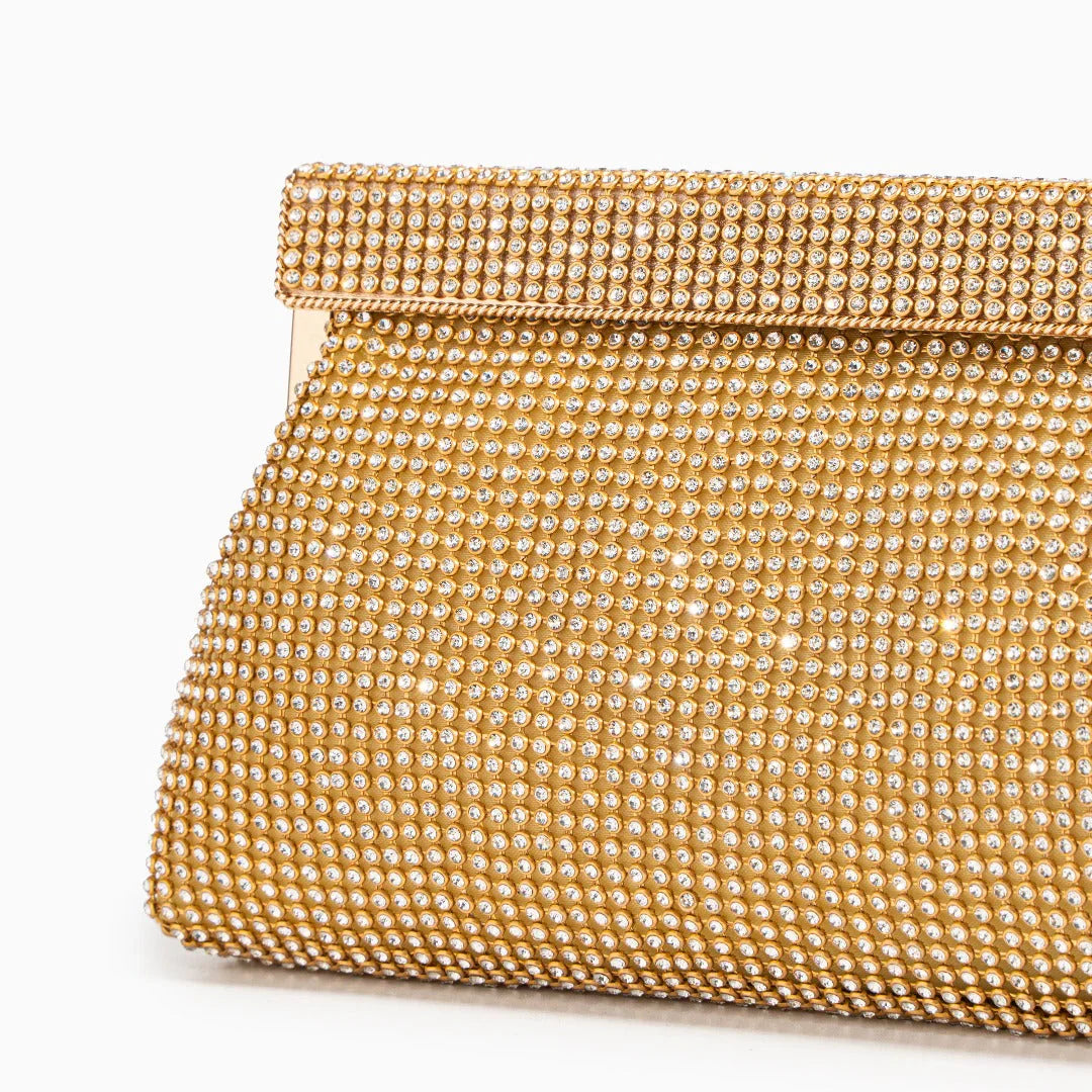 Vioraia (CS) Glitz Diamonds Clutch Bag