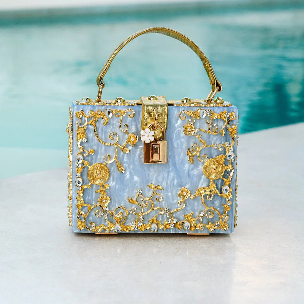 Vioraia Acrylic Box Handbag