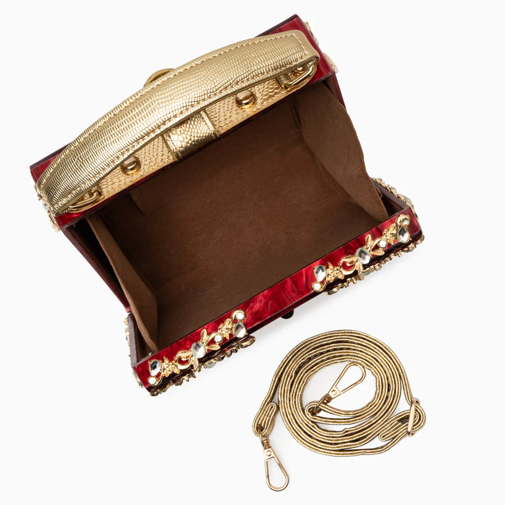 Vioraia Acrylic Box Handbag