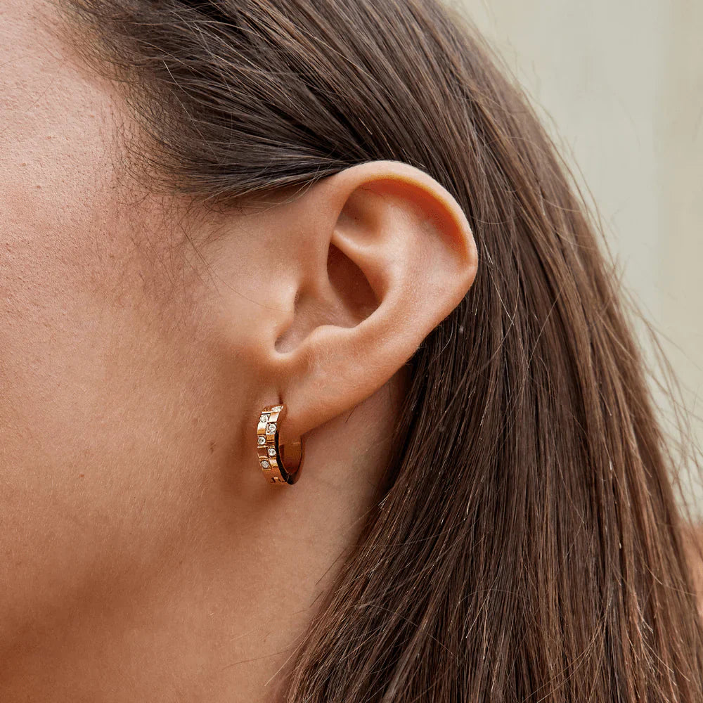 Vioraia Tasha Crystal & Gold Hoop Earrings