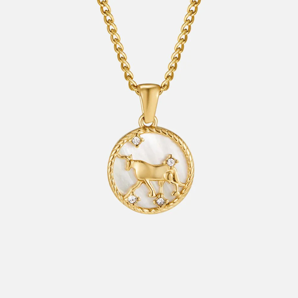 Vioraia White Shell Zodiac Coin Necklace
